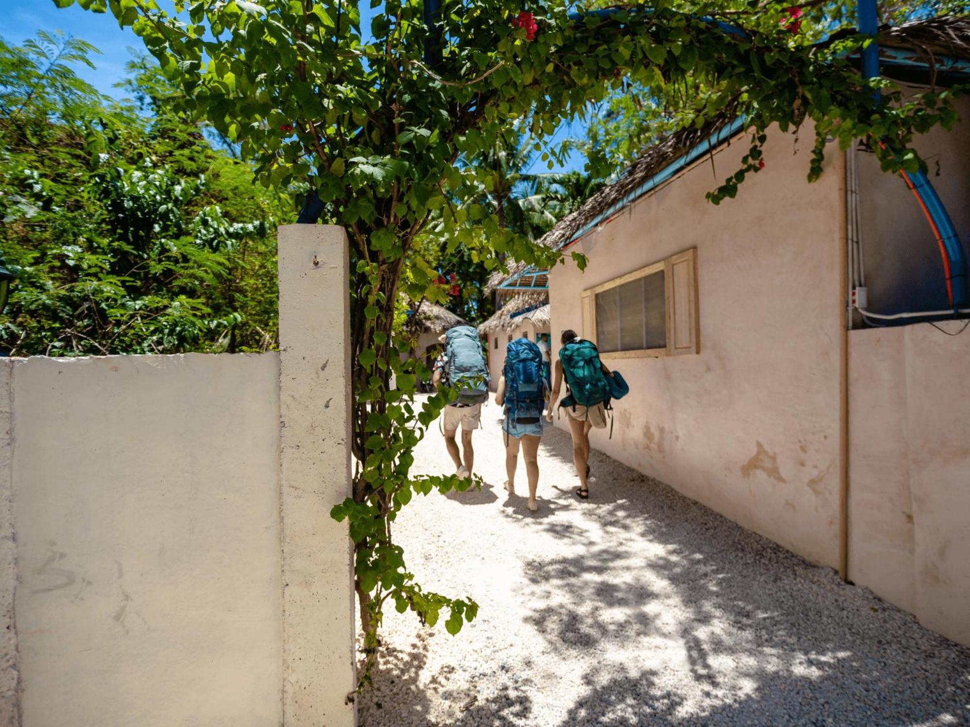 Mad Monkey Panglao Hostel Bagian luar foto